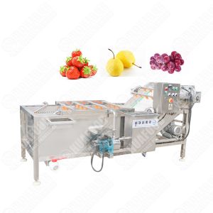 Cost-Effective Ozone Vegetable Washing Machine Single