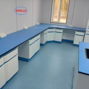 Multi-Functional Laboratory Benches with Drawers Server Type OEM ODM for
