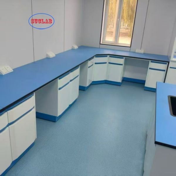 Multi-Functional Laboratory Benches with Drawers Server Type OEM ODM for