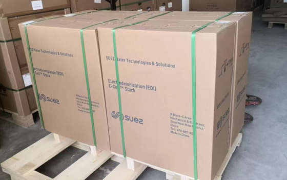 Veolia E-Cell MK-3 EDI Stack for Continuous High-Purity Water Production