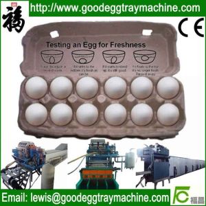 Cheap Machines For The Packaging Of The Eggs for sale
