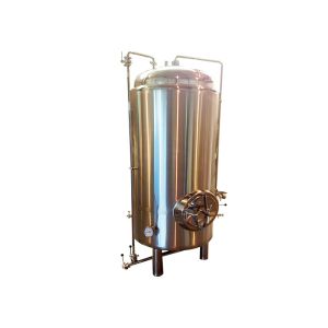 Fabricateion SS304 Bright Beer Tank 50BBL Mirror Polished Interior Shell ISO / CE