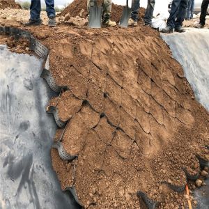 Contemporary Design Style HDPE Paving Geo Grid Plastic Honeycomb Gravel Paver