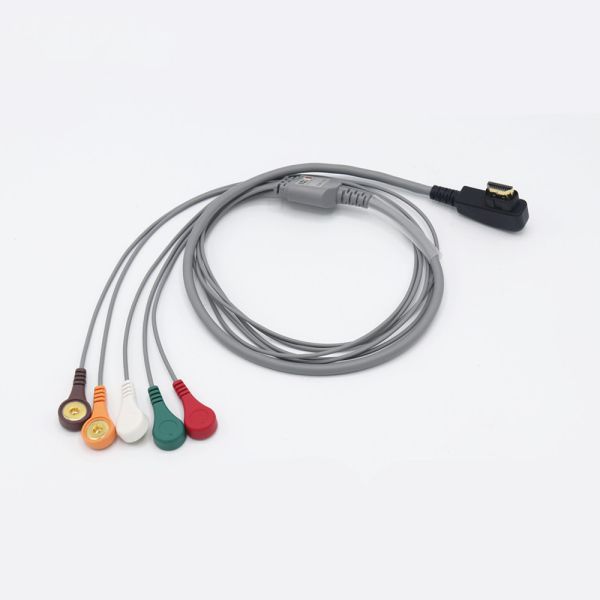 Quality Practical DMS ECG Holter Cable Multiscene For DMS300-4L 5 Leads wholesale