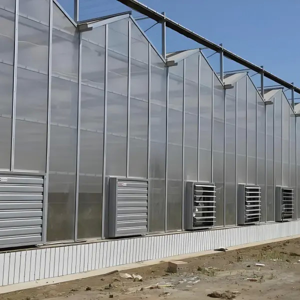 Quality Polycarbonate Greenhouse for Cabbage Planting Durable wholesale