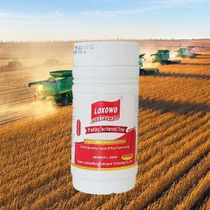 LOXOWO High Yield Organic Fertilizer Humic Acid Foliar Water Soluble Fertilizer