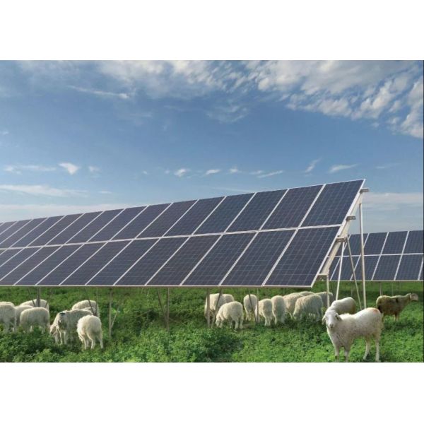 Quality Big Size 350 Watt Polycrystalline PV Solar Panels wholesale