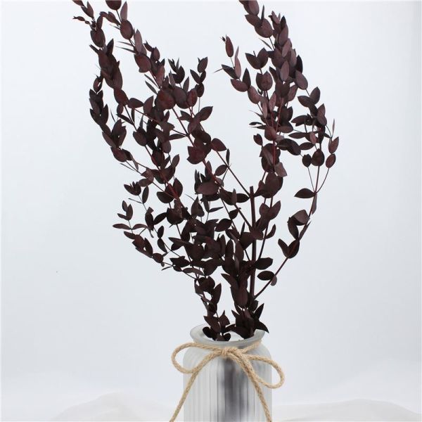 Quality Modernization Style Preserved Foliage Green Environmental Protection wholesale