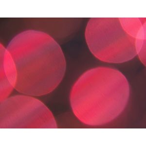 100 IV 35mm Camera Filter , Hd Lens Filter ZASHN Bringing Beautiful Spots