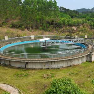 Sludge Treatment Equipment Center / Peripheral Drive Central Drive Full Bridge