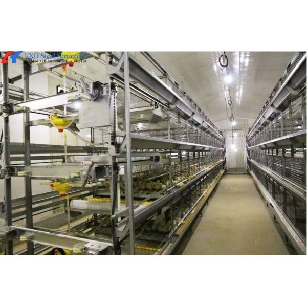 Automatic Poultry Farm Chicken House Feeding Line A Type Layer Chicken Cage