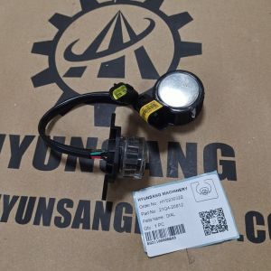 Dial Excavator Engine Parts 21Q4-20812 21Q4-20811 21Q4-20810 For R125LCR-9A
