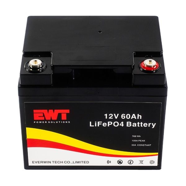 Quality EWT Backup Energy System LiFepo4 12v 60ah  Battery pack wholesale