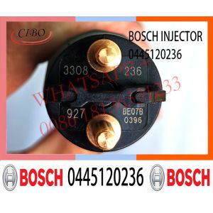 QSL QSL9 QSL8.9 QSC8.3 6D114 PC300 Diesel Engine Fuel Injector 0445120126