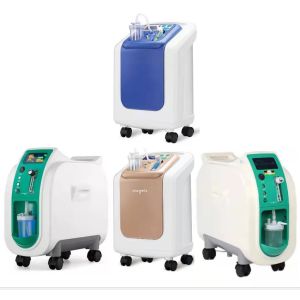China 96% Purity 3L Portable Oxygen Concentrator With Atomization on sale