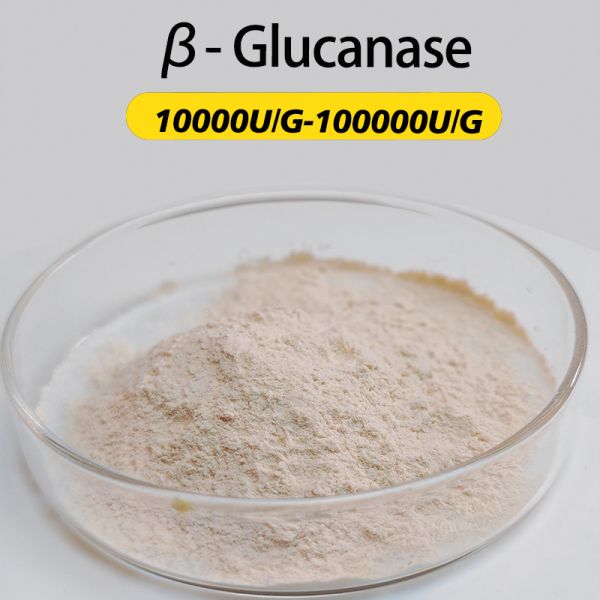 Quality β-Glucanase 10000U/G-100000U/G Used for food and feed processing customizing enzyme activity specifications wholesale