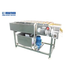 Industrial Brush SUS304 Vegetable Washing Machine