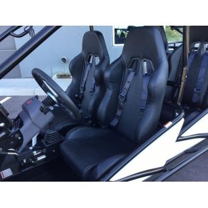 Electronic Fuel Injection Go Kart Buggy 1500cc Push Button 4x4