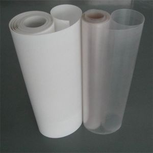 Polylactic Acid Sheet Biodegradable Clear PLA Sheet Roll
