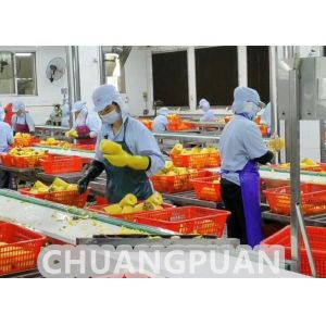 2-10T/H Pineapple Processing Line Stainless Steel Fully Automatic