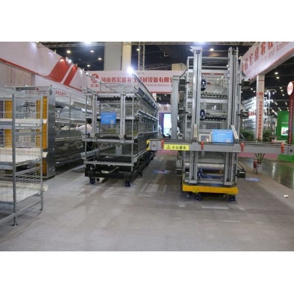 Drying Automatic Manure Removal System Comfortable Environment For Chicken