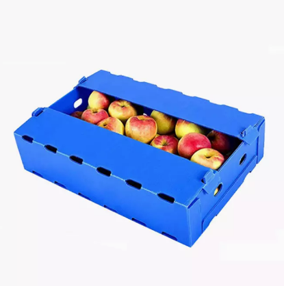 PP Plastic Fruit Packaging Boxes Hollow Plate Turnover Box Anti Static