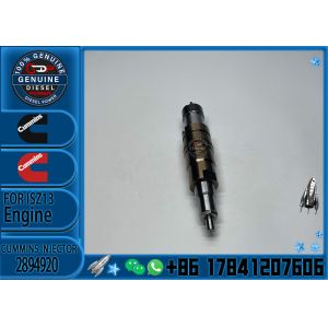 ISX15 QSX15 Diesel Engine Parts Common Rail Fuel Injector 5579415 2894920