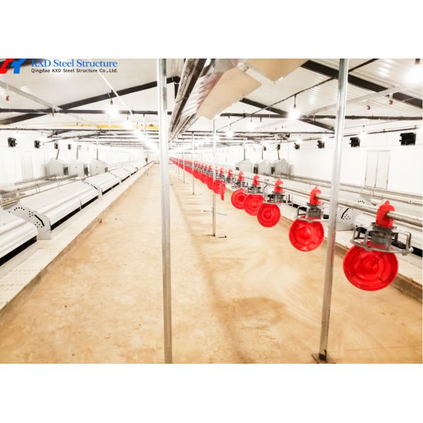 Prefabricated Steel Poultry Shed with Automatic Feeding and Drinking Systems