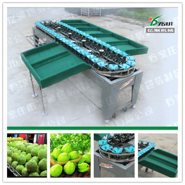 Quality Guava/Apple/Pear/Mango/Tomato/Potato weight grading machine wholesale