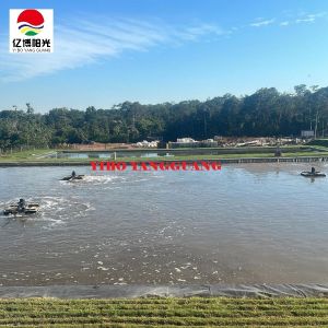 HDPE Geomembrane Waterproof 0.75mm 1mm Biofloc Tarpaulin Fish Tank Farming Pond