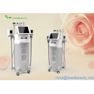 Cheap With good feedback Salon cryolipolysis slimming machine for summer days multi-functional for sale