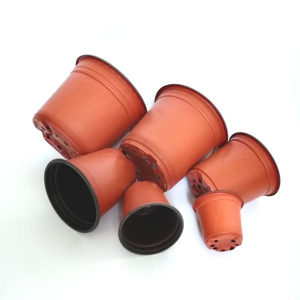 Quality Greenhouse using bicolored small plastic flower nursery pots for seeds wholesale