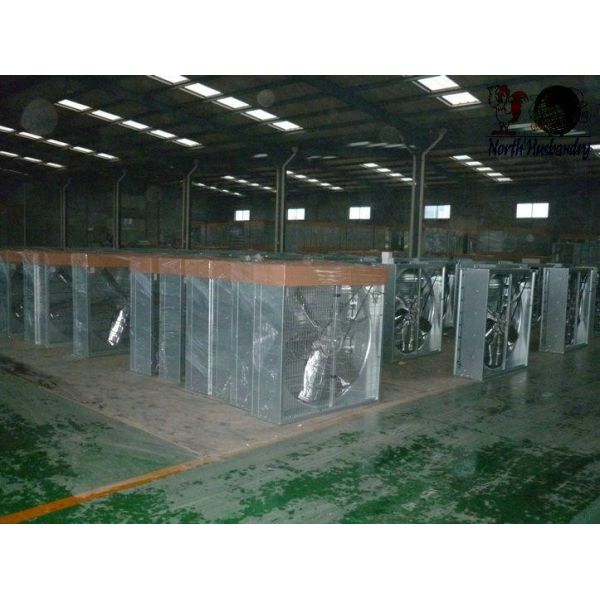 Quality heavy hammer poultry fan with CCC/CE certification wholesale