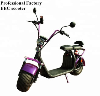 Quality EcoRider 2 wheel electric scooter 1500w brushless hub motor with big fat tire and EEC certificate wholesale