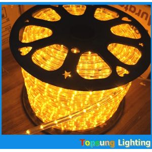 24/12V duralights 1/2'' 2 wire solar powered led flexible rope lights