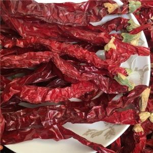 Cheap Experience the Heat of Dried Chili Peppers Strong Pungent Chilli Flavor for Cool And Dry Storage for sale