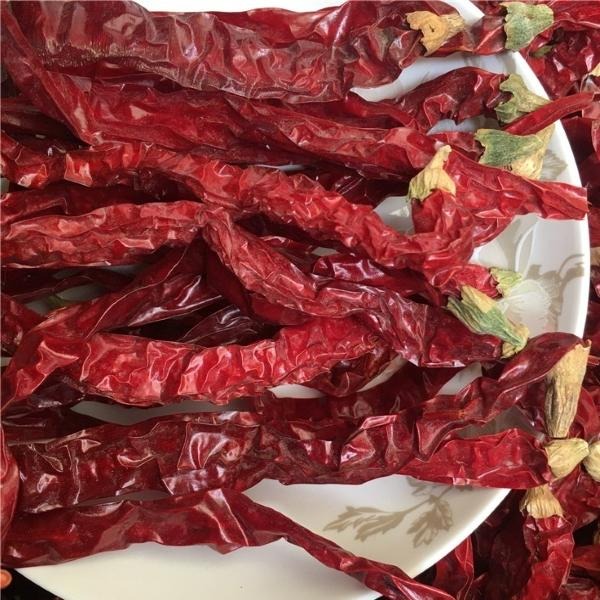 Experience the Heat of Dried Chili Peppers Strong Pungent Chilli Flavor for Cool