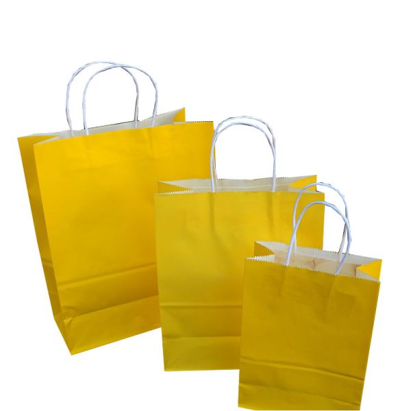 Customized Color Shopping Paper Gift Bags With Handles 15X8X21 Cm