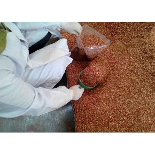 10 KG/CTN Pungent Red Chilli Pepper Flakes 5-*8 Mesh 20,000 SHU Hot Chilli