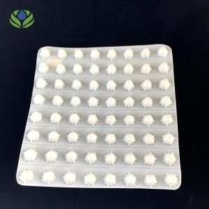 Customized Size Greening Plastic Dimple Drainage Board for Garden Roof