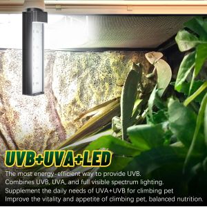 3 In 1 LED UVA UVB Light Bulbs Reptile Lamp For Amphibian Tanks / Reptile