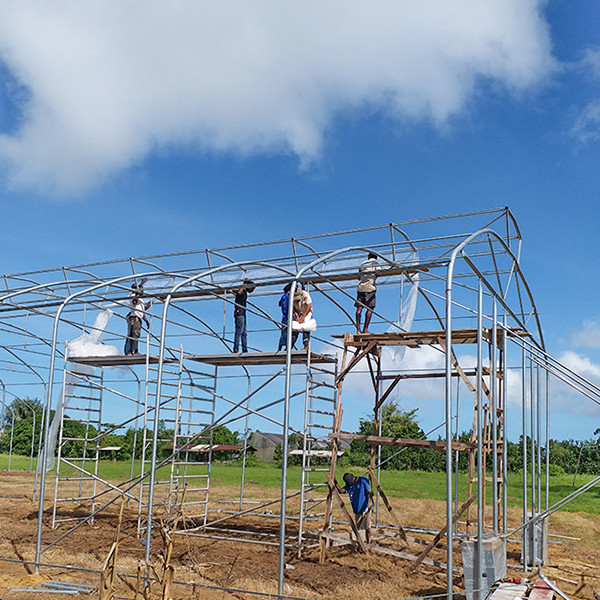 Quality Large Diameter Frame Heavy Duty Greenhouse With Anti Wind Design Easy Installation wholesale