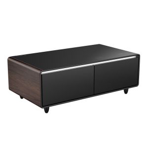 75W Modern Design Wine Cooler Mini Refrigerator Fridge Coffee Table for Home