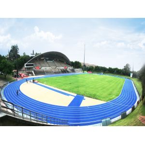 High-Quality 0.5-2mm SBR Rubber Granules with Anti-Oil-Bleeding and Shape