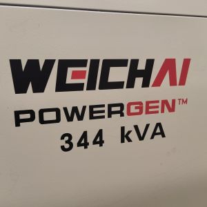 Methane Gas Electric Generator 250kw 3 Phase with Weichai Engine and CE/ISO