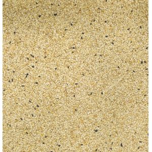 2t/h Wenyao Color Sorter , High Sorting Accuracy Sesame Color Sorter