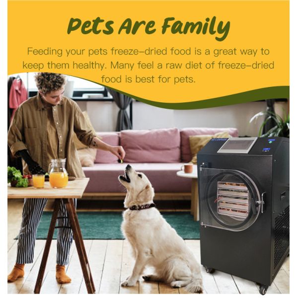 Vacuum Freeze Dryer Freeze Dryer Machine for Meat Pet Food Freeze Fruit Dryer