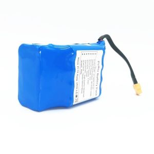 10 Years Lithium Factory 36V 4.4Ah OEM Lithium Battery With One Year Warranty