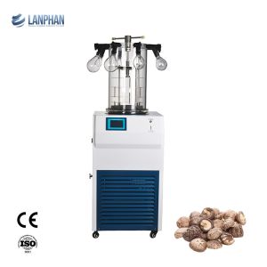 Laboratory Freeze Drying Machine Vials Eggplant Flask Freeze Dryer For