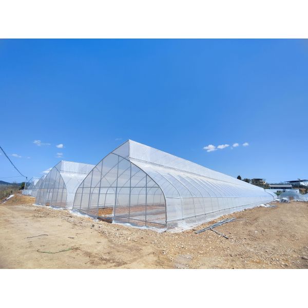 Economical Low Cost Plastic Film Single-span Poly Tunnel Galvanized Greenhouse Tent